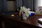 IMG 8500